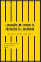 Educação em espaços de privação de liberdade descerrando grades